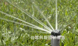 智慧绿茵：草坪自动灌溉系统