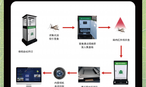 智能虫情测报灯：解锁农业虫害防控的 “智慧密码”