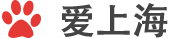 爱上海